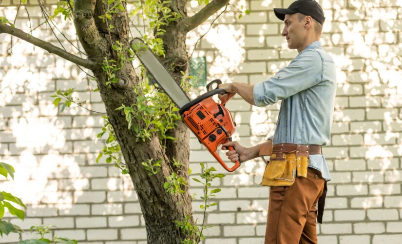 Élaguer ses arbres : préserver la santé de son jardin